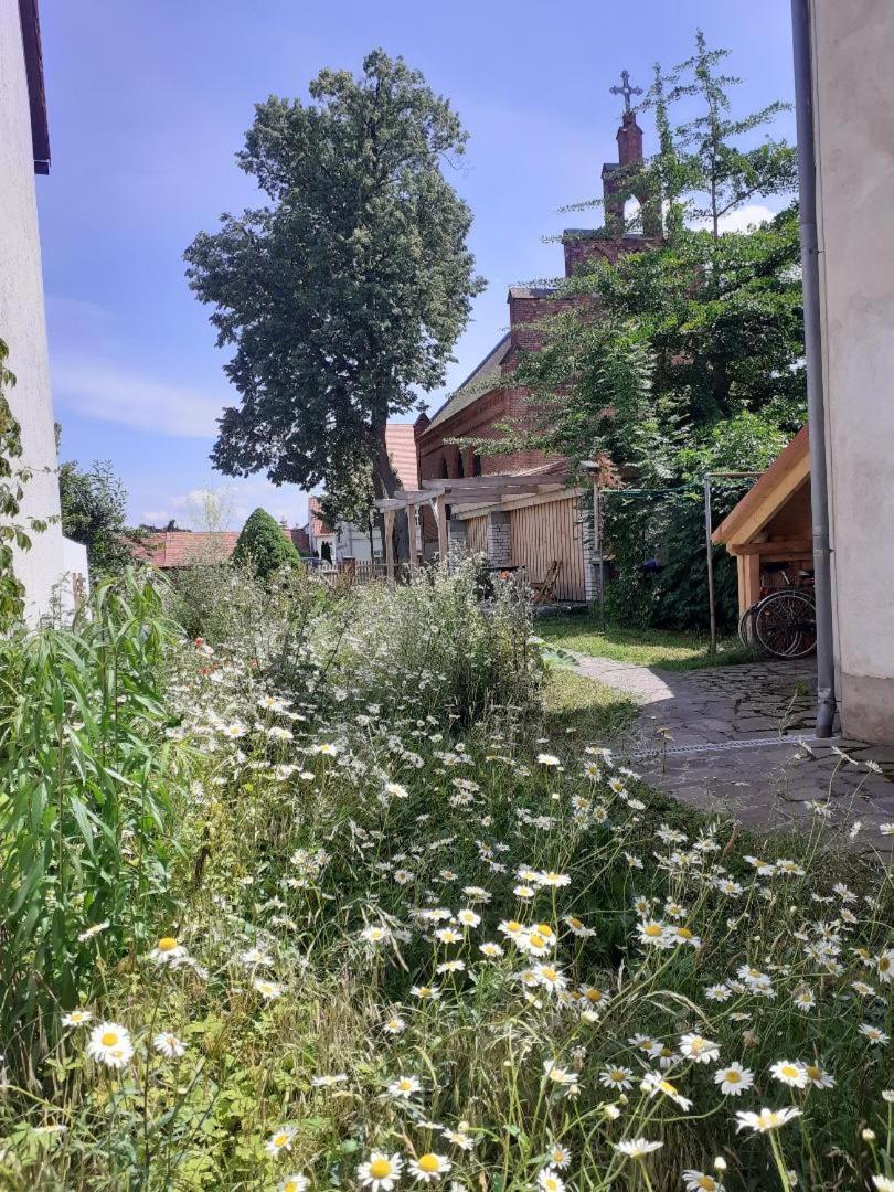 Ferienwohnung Martinsblick Ангермюнде Экстерьер фото